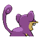 Rattata