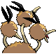 Dodrio