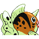 Poissoroy