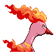 Sulfura