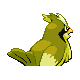 Roucool