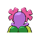 Joliflor