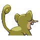 Rattata