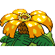 Florizarre
