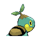 Tortipouss