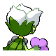 Roserade