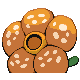 Rafflesia