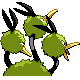 Dodrio