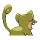 Rattata