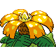 Florizarre