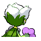 Roserade