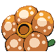Rafflesia