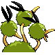 Dodrio
