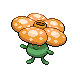 Rafflesia