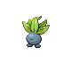 Mystherbe