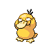 Psykokwak