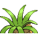 Noadkoko
