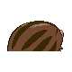 Marcacrin