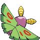 Papinox