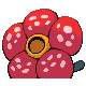 Rafflesia
