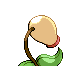 Chétiflor