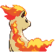Ponyta