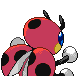 Coxyclaque
