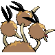 Dodrio
