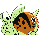 Poissoroy