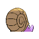 Amonita