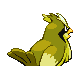 Roucool