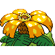 Florizarre