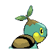 Tortipouss