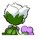 Roserade