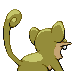 Rattata