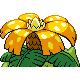 Florizarre