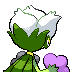 Roserade