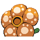 Rafflesia