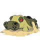Hippodocus