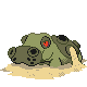 Hippodocus