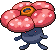 Rafflesia