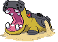 Hippodocus