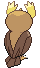 Noarfang