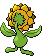 Héliatronc