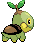 Tortipouss