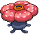 Rafflesia