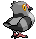 Poichigeon
