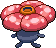 Rafflesia