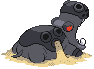 Hippodocus