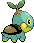 Tortipouss